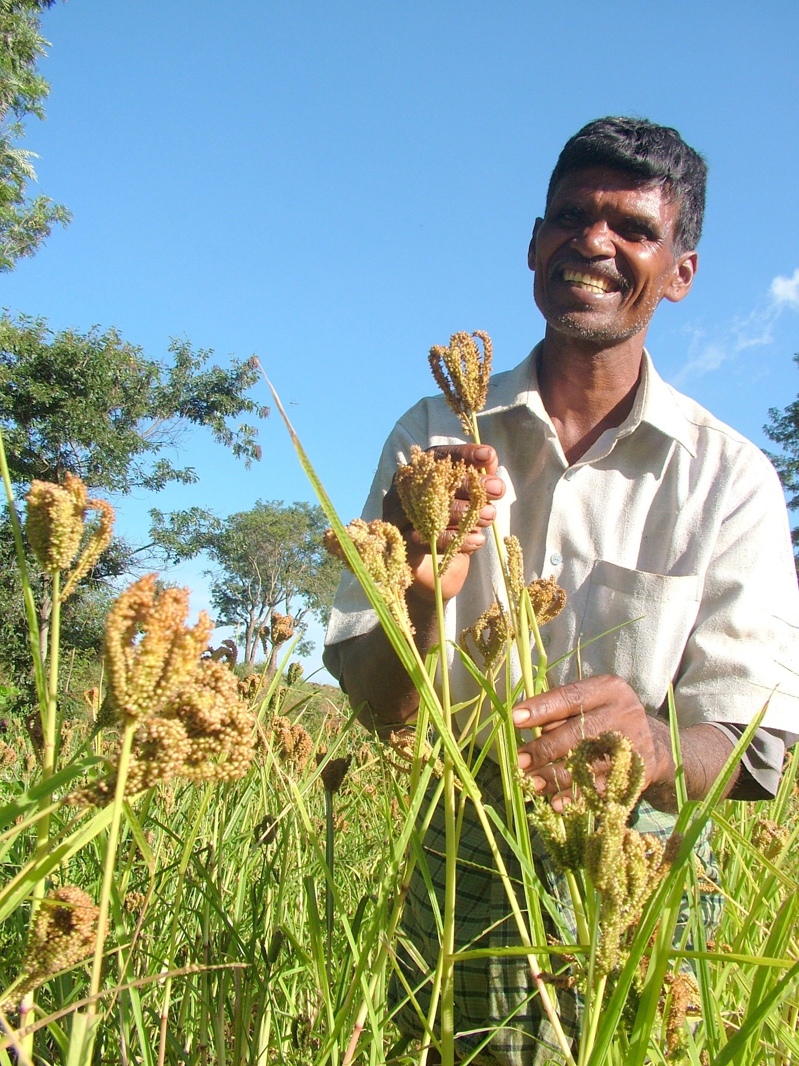 Organic farmers market with fresh produce